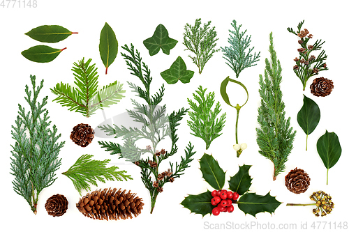 Image of Traditional European Winter Flora and Fauna Collection