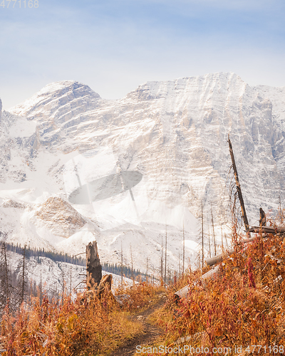 Image of The Floe Lake Trail in Fall