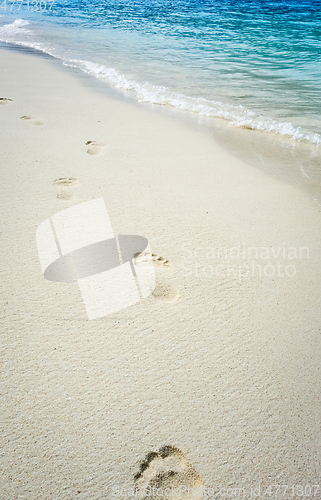 Image of footprints on a tropical beach