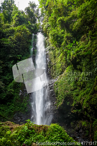 Image of Melanting Waterfall, Munduk, Bali, Indonesia