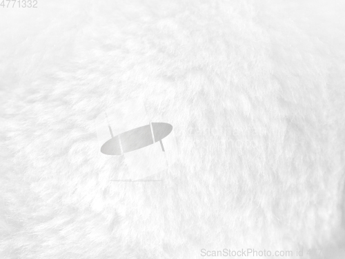 Image of White fur background close up view