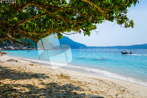 Image of Turtle Beach, Perhentian Islands, Terengganu, Malaysia