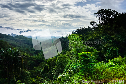 Image of Khao Sok National Park landscape, Thailand