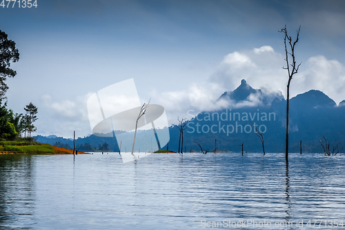 Image of Morning on Cheow Lan Lake, Khao Sok National Park, Thailand