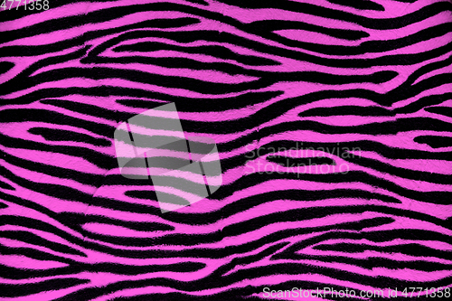 Image of Pink zebra fur background texture