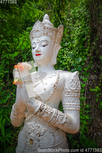 Image of Buddha statue in jungle, Wat Palad, Chiang Mai, Thailand