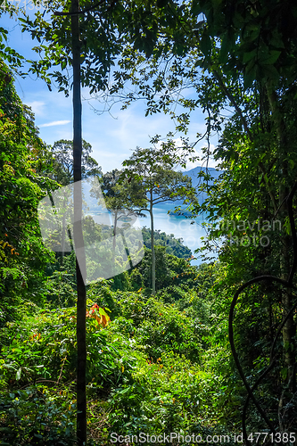 Image of Cheow Lan Lake jungle landscape, Khao Sok, Thailand