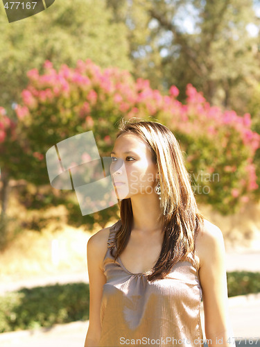 Image of Young asian american woman outdoor portrait trees