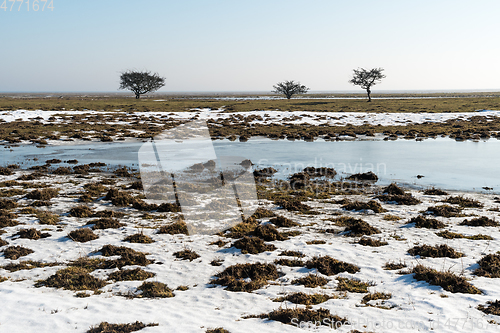 Image of Springtime with melting snow in a great plain landscape