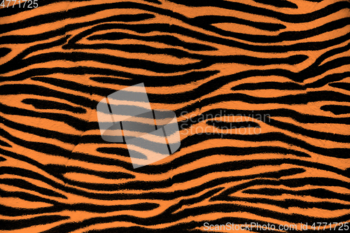 Image of Tiger fur background texture