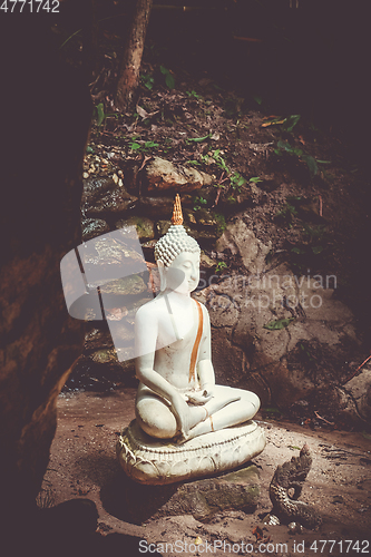 Image of Buddha statue in jungle, Wat Palad, Chiang Mai, Thailand