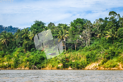 Image of River and jungle in Taman Negara national park, Malaysia