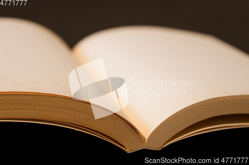 Image of Old open blank book on black background