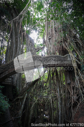 Image of Old bridge in the Monkey Forest, Ubud, Bali, Indonesia