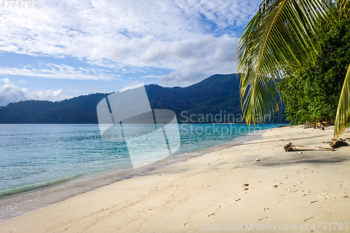 Image of Tropical beach in Koh Lipe, Thailand