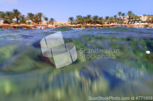 Image of coral reef in Egypt, Makadi Bay