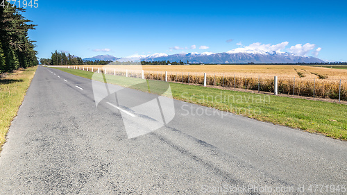 Image of road to horizon New Zealand south island