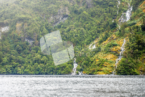 Image of waterfall at Doubtful Sound Fiordland National Park New Zealand