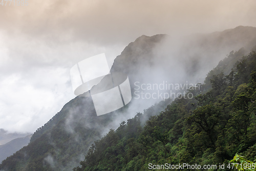 Image of misty rainforest in New Zealand