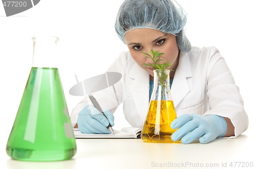 Image of Scientist botanist studying plant