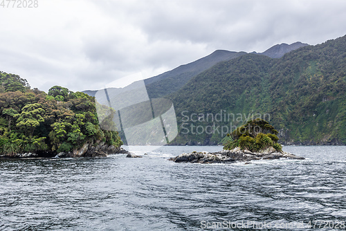 Image of Doubtful Sound Fiordland National Park Impressions New Zealand