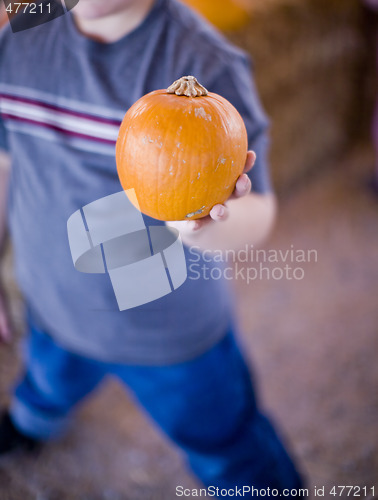 Image of boy holding pumpkin