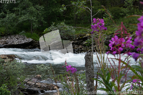 Image of River Rauma, Oppland, Norway