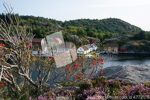 Image of Rossnes, Nordfjorden, Norway