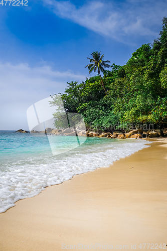 Image of Turtle Beach, Perhentian Islands, Terengganu, Malaysia