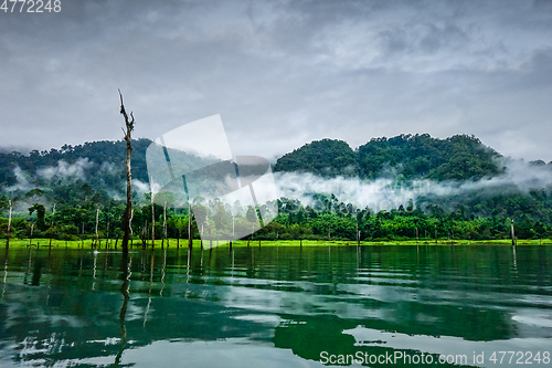 Image of Misty morning on Cheow Lan Lake, Khao Sok National Park, Thailan