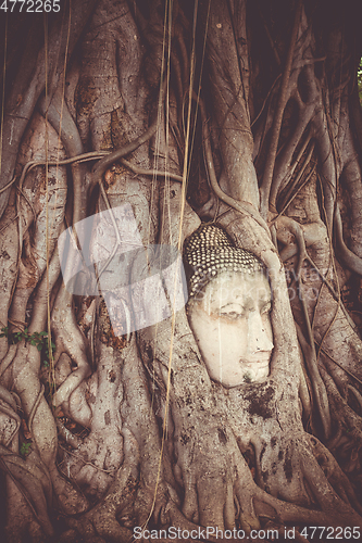 Image of Buddha Head in Tree Roots, Wat Mahathat, Ayutthaya, Thailand