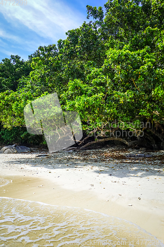 Image of Turtle Beach, Perhentian Islands, Terengganu, Malaysia