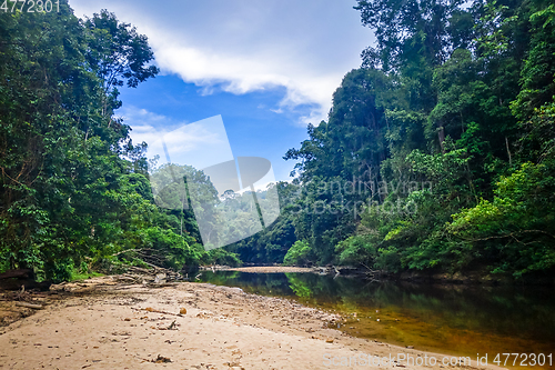 Image of River in Jungle rainforest Taman Negara national park, Malaysia