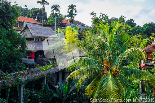 Image of Houses in jungle, Ubud, Bali, Indonesia