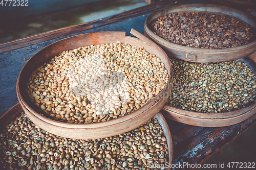 Image of Kopi Luwak coffe beans, Bali, Indonesia