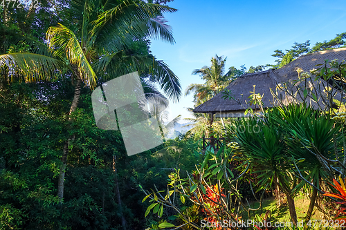 Image of Traditional house in jungle forest, Sidemen, Bali, Indonesia
