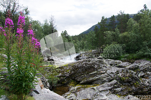 Image of River Rauma, Oppland, Norway