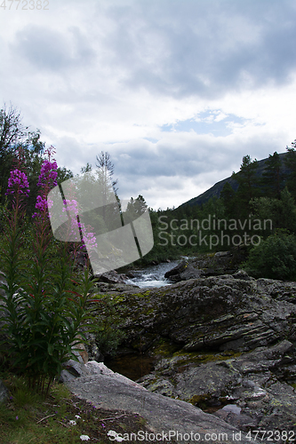 Image of River Rauma, Oppland, Norway