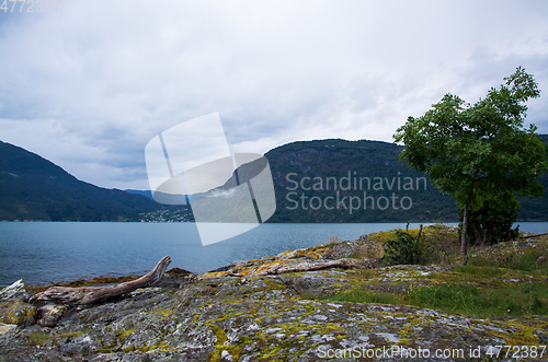 Image of Lustrafjorden, Sogn og Fjordane, Norway