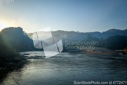 Image of Sunrise in jungle, Taman Negara national park, Malaysia