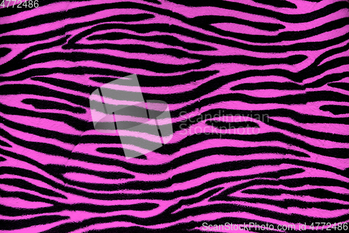 Image of Pink zebra fur background texture