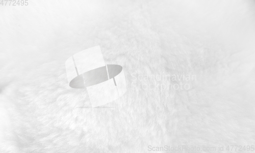 Image of White fur background close up view