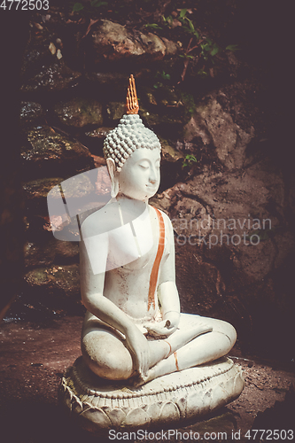 Image of Buddha statue in jungle, Wat Palad, Chiang Mai, Thailand