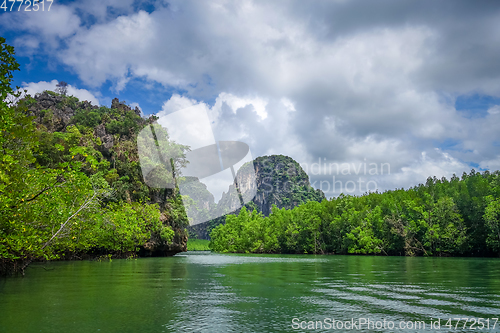 Image of Mangrove and cliffs in Phang Nga Bay, Thailand