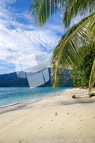 Image of Tropical beach in Koh Lipe, Thailand