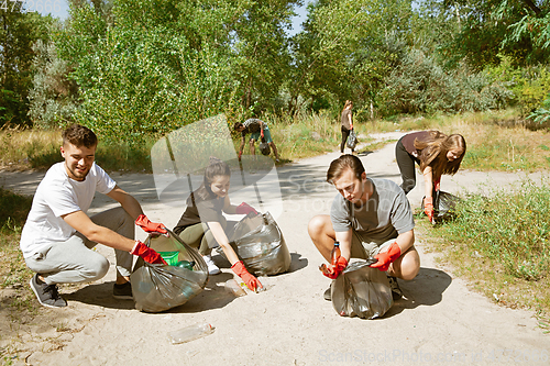 Image of Group of volunteers tidying up rubbish on beach