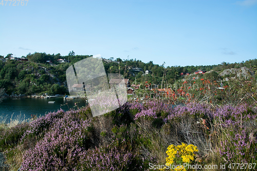 Image of Rossnes, Nordfjorden, Norway