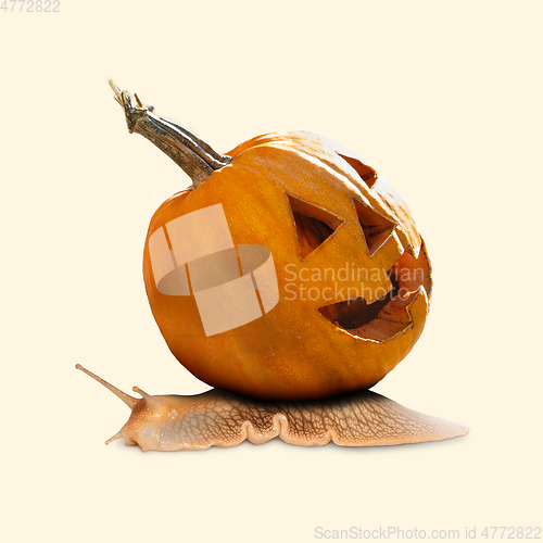 Image of Scary pumpkin on yellow background, the night of fear