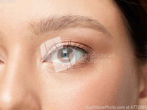 Image of Close up shot of well-kept female big eyes and cheeks on white studio background