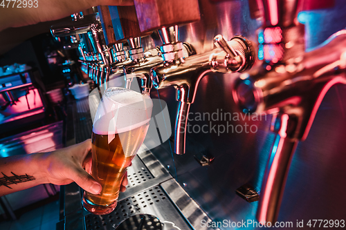 Image of Hand of bartender pouring a large lager beer in tap
